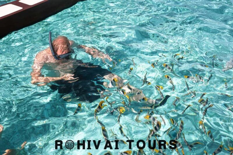 Bora Bora: Private 1/2 day lagoon safari tour - What Reviewers Say