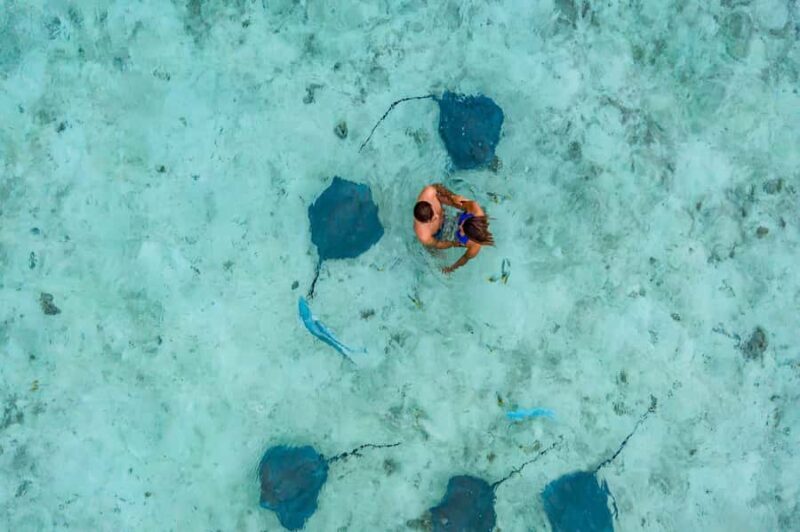 Bora Bora: Private Boat Tour with Snorkeling and Drinks - Good To Know