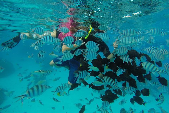 Bora Bora Private Lagoon Tours - Pricing and Guarantee