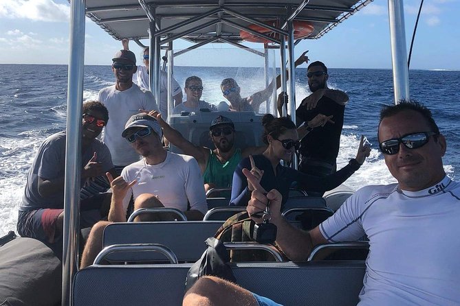 Bora Bora Whale Watching - Common Questions