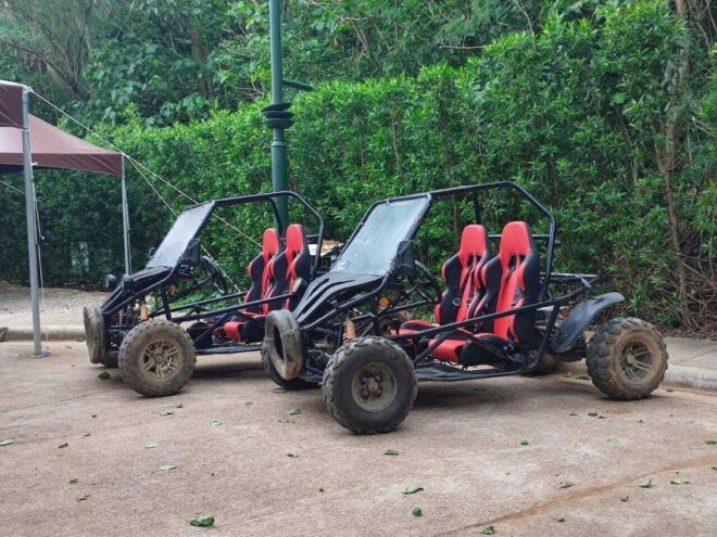Boracay: All-Terrain Vehicle or Buggy Car Experience - Get a Full Description of the Experience