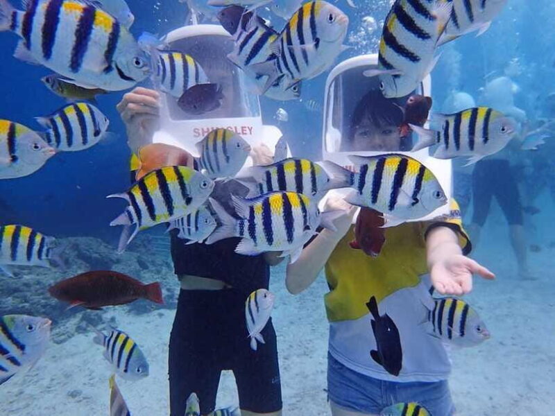Boracay: Aquanaut Adventure with Photos and Videos - Who Should Consider This Tour?