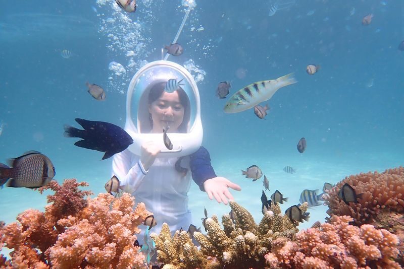 Boracay Helmet Dive Experience - Who will enjoy this Boracay activity most