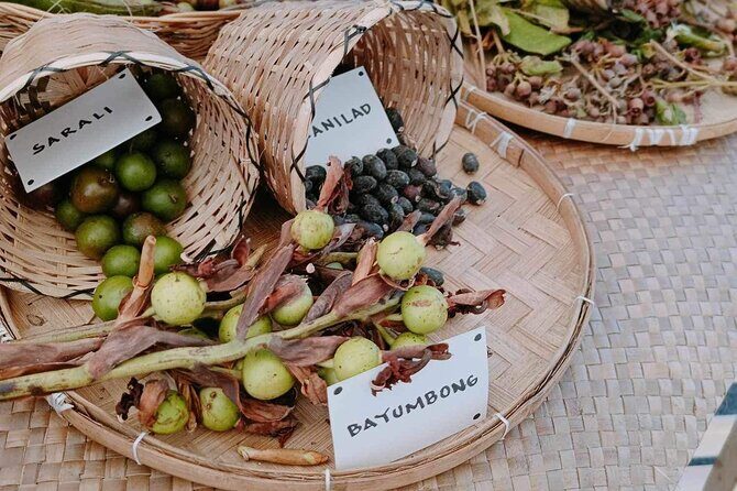 Boracay Island Foraging with Hidden Beach Experience - Good To Know