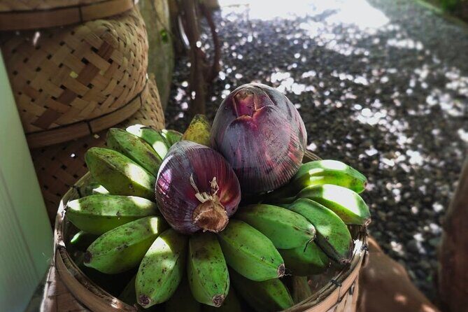 Boracay Island Foraging with Hidden Beach Experience - Who Would Enjoy This Tour?
