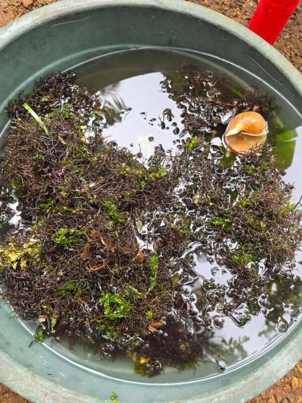 Boracay Island Foraging with Hidden Beach Experience - Who Might Not Love It?