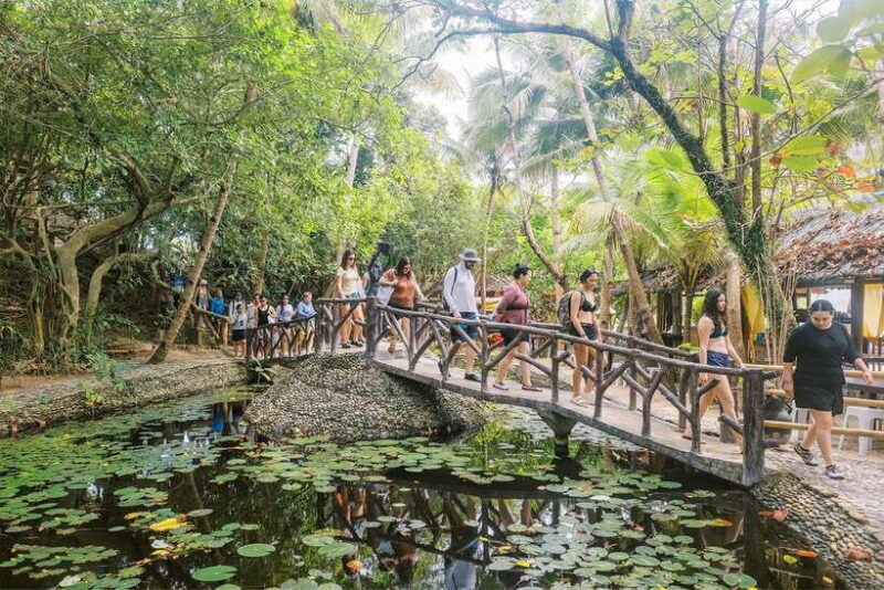 Boracay: Island Hopping Boat Tour with Crystal Cove Entry - Practical Details and Tips