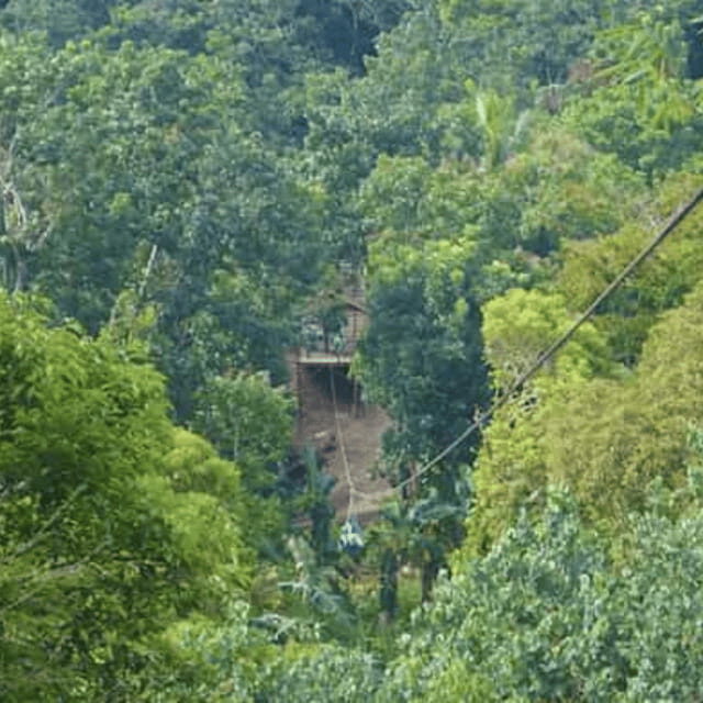 Boracay: Island Hopping with Lunch and Zipline - Good To Know