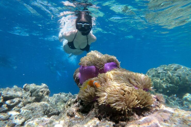 Boracay: Private Island Hopping & Snorkeling Tour - Tour Inclusions