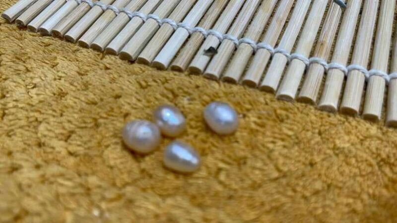 Boracay: Private Land Tour with Pick a Pearl Experience - Practical Tips and Considerations