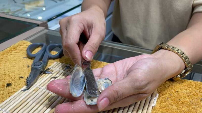 Boracay: Private Land Tour with Pick a Pearl Experience - The Sum Up