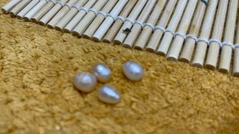 Boracay: Private Land Tour with Pick a Pearl Experience - Final Thoughts: Who Will Love This Tour?  