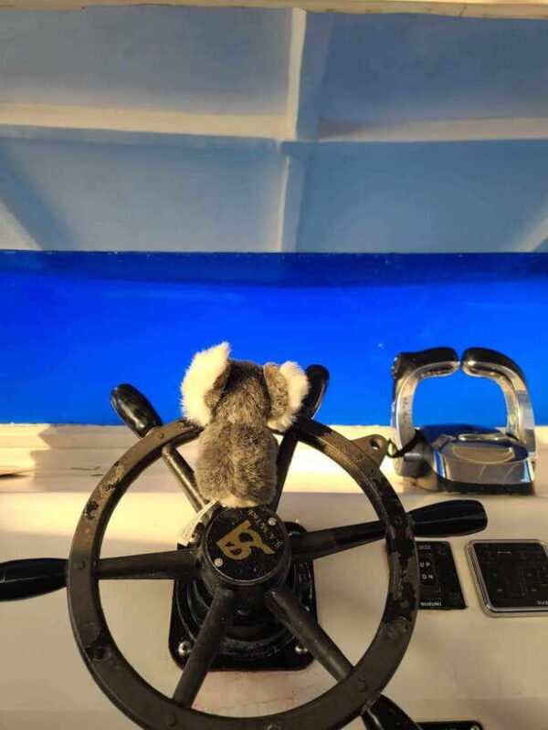 Boracay Sunset Boat Party Experience - Who Should Book This Tour?