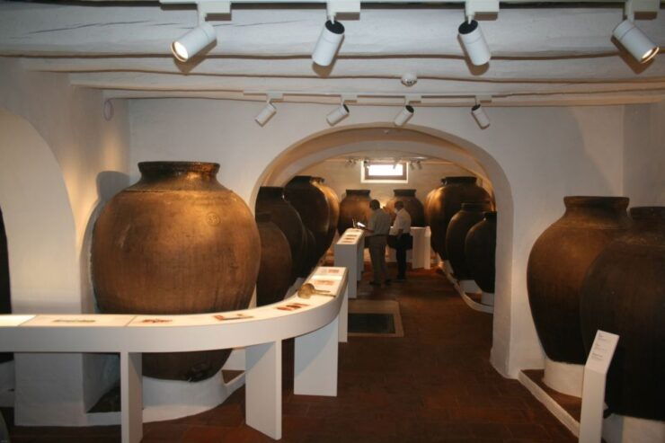 Borba: Amphora Wine Experience - Experience