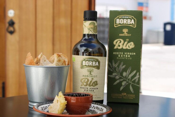 Borba: Tasting and Tour and Alentejo Traditional Choir - Experience Highlights