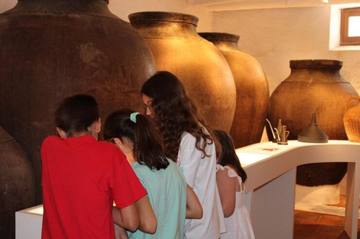 Borba: Winery and Amphora Wine Tour and Tasting - Ticket Information
