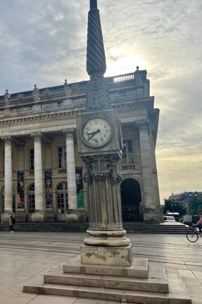 Bordeaux as a Local: Private Guided Tour - Accessibility Information