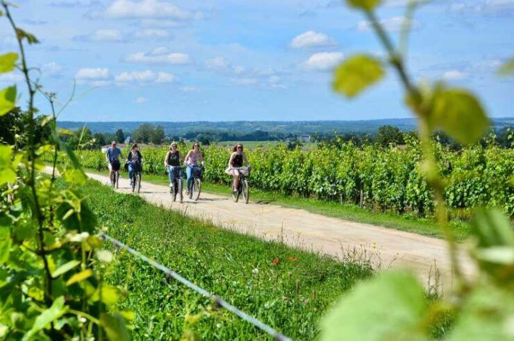 Bordeaux Backcountry E-Bike Tour With Lunch & Wine Tasting - Itinerary Highlights