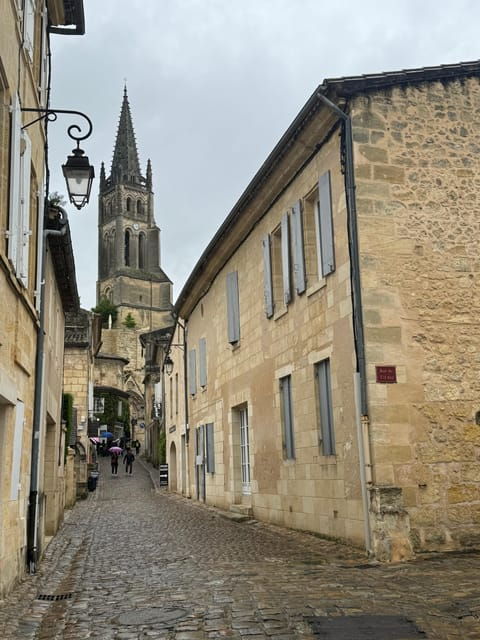 Bordeaux Backcountry E-Bike Tour With Lunch & Wine Tasting - Culinary Delights