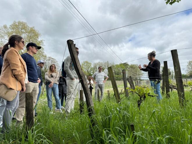 Bordeaux Backcountry E-Bike Tour With Lunch & Wine Tasting - Safety Information