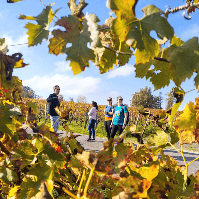Bordeaux by Gravel Bike : Historic Center & Vineyards - Scenic Cycling Routes