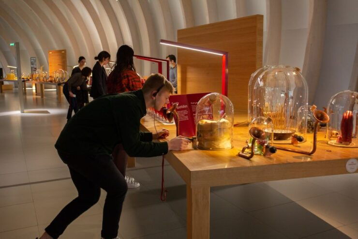 Bordeaux: Cité Du Vin Direct Ticket and Wine Tasting - Experience Highlights