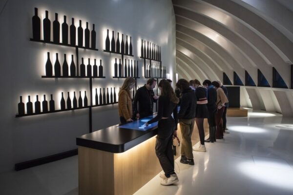 Bordeaux: Cité Du Vin Direct Ticket and Wine Tasting - Accessibility Information