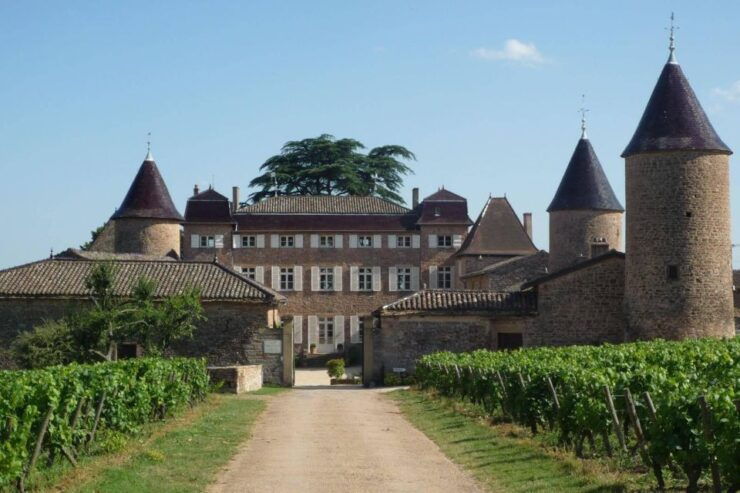 Bordeaux City - Wine Discovery - Wine Museum and Scents