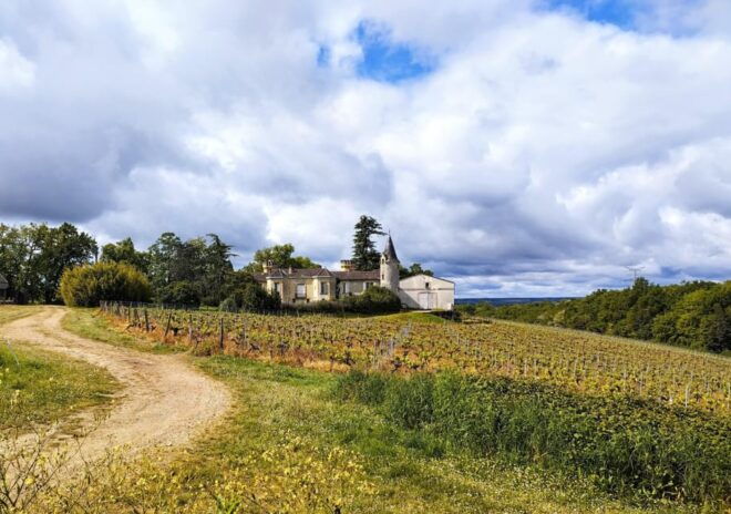 Bordeaux Countryside & Vineyards by Gravel Bike - Requirements and Recommendations