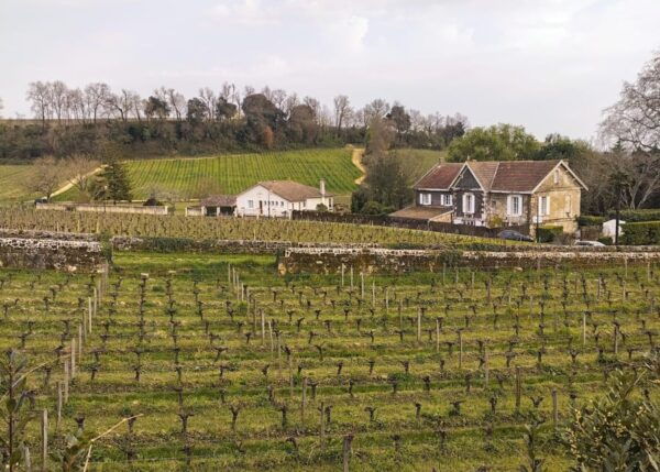 Bordeaux Countryside & Vineyards by Gravel Bike - Important Safety Information