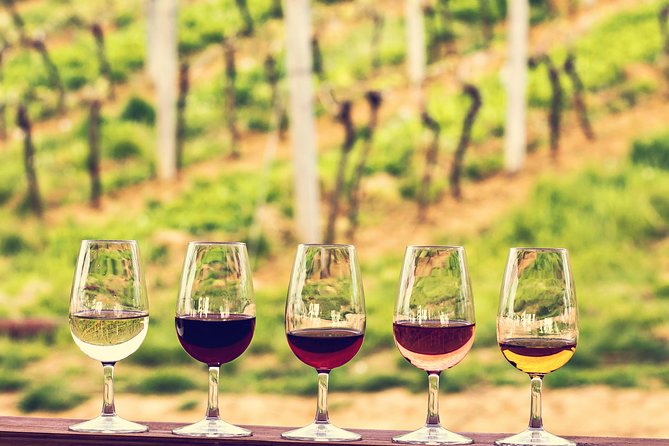 Bordeaux Cruise Port Shore Excursion: Full-Day Private Medoc Wine Tour - Tour Details