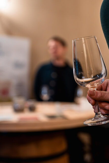 Bordeaux: Dinner Food Tour - Wine Tasting Highlights