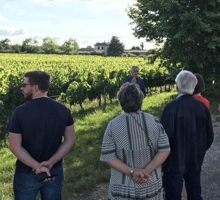 Bordeaux: Explore an Organic Family Vineyard With Tasting - Bordeauxs Wine History and Appellations