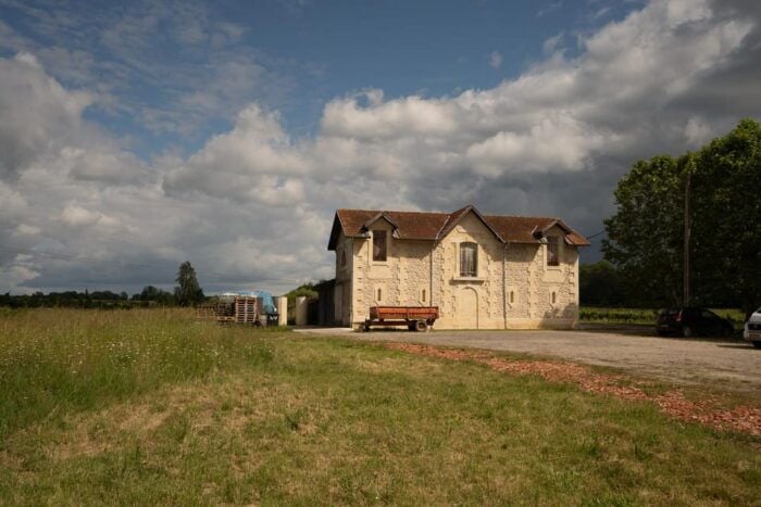 Bordeaux: Explore an Organic Family Vineyard With Tasting - Wine Tasting Guidance