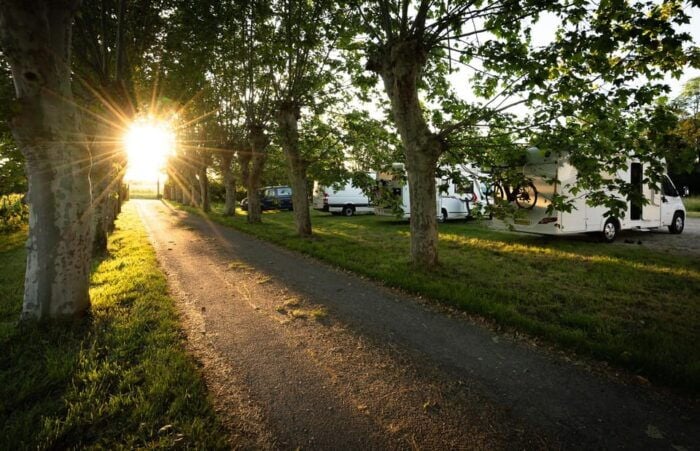 Bordeaux: Explore an Organic Family Vineyard With Tasting - Customer Feedback and Recommendations