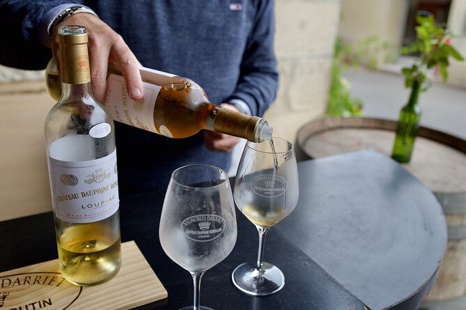 Bordeaux : Full Day Wine Tastings & Lunch - Overview