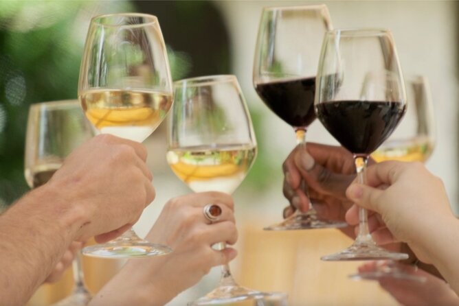 Bordeaux : Full Day Wine Tastings & Lunch - The Sum Up