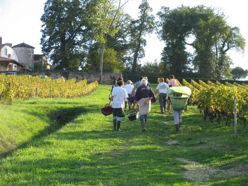 Bordeaux: Graves, Pessac-Léognan, and Sauternes Vineyards - The Scenic Drive in a Classic Citroën 2CV