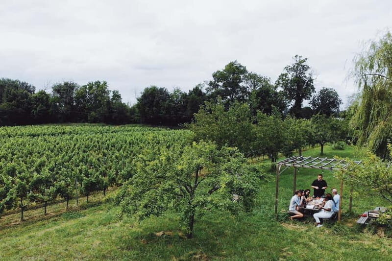Bordeaux: Half-Day Private Natural Wine Tour & Tasting - Good To Know