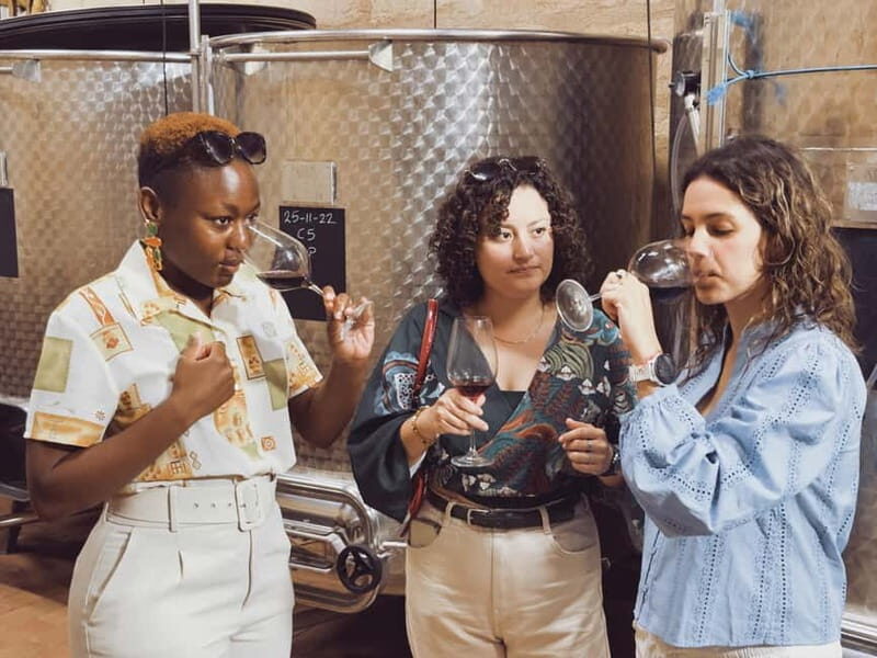 Bordeaux: Half-Day Private Natural Wine Tour & Tasting - What to Expect from the Tour