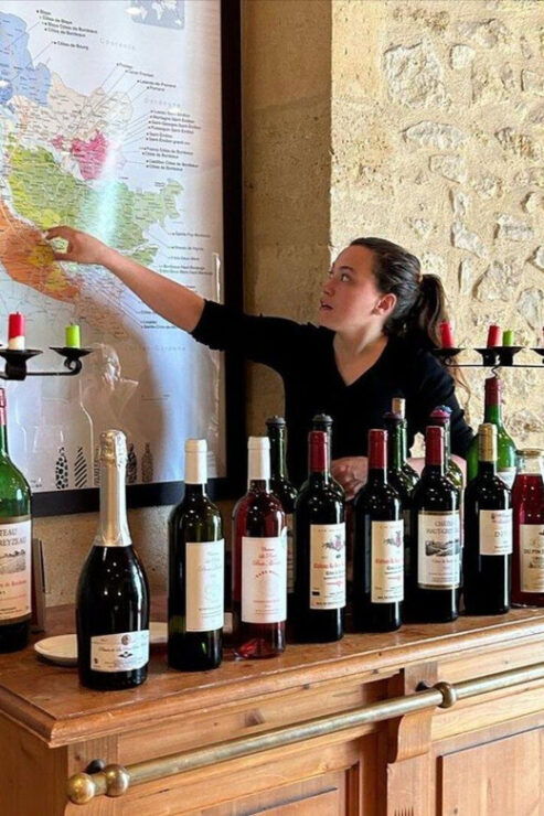 Bordeaux: in the Heart of an Organic Family Vineyard - Key Points