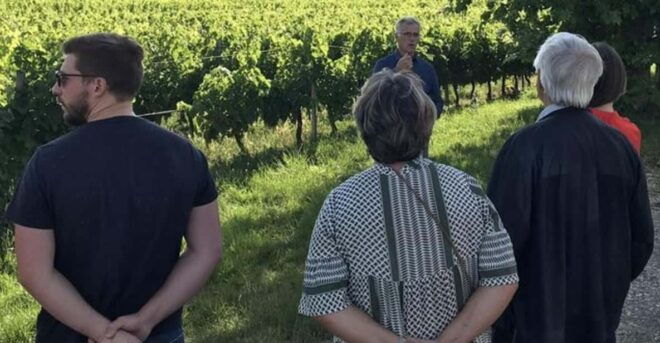 Bordeaux: in the Heart of an Organic Family Vineyard - Family History and Tradition