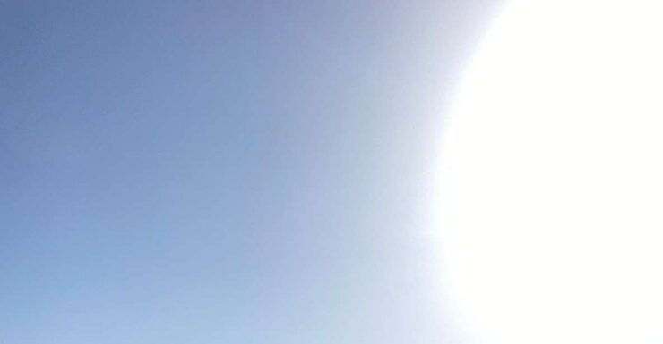 Bordeaux Margaux Wine Tour - Activity Description