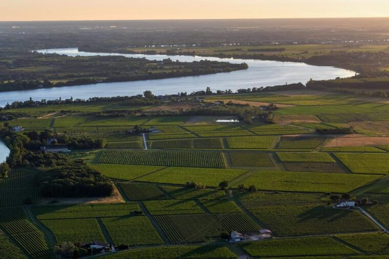 Bordeaux: Panoramic Flight Over Vineyards and Châteaux - Participant Restrictions and Safety Guidelines