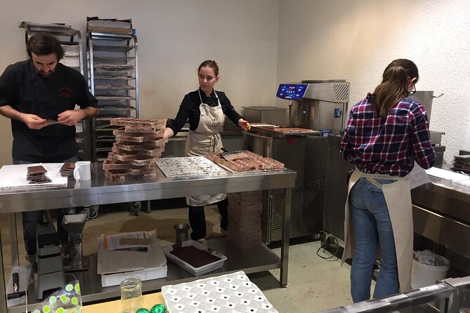 Bordeaux Personalized Private Seafood or Wine Half-Day Tour - The Sum Up