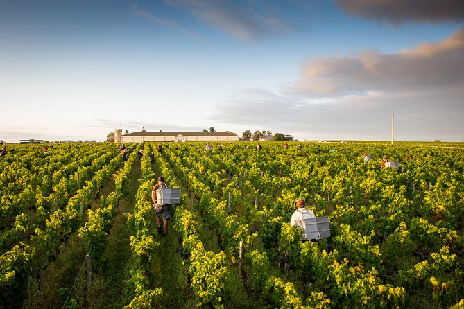 Bordeaux Private Full Day Wine Tour - Overview of Bordeaux Wine Region