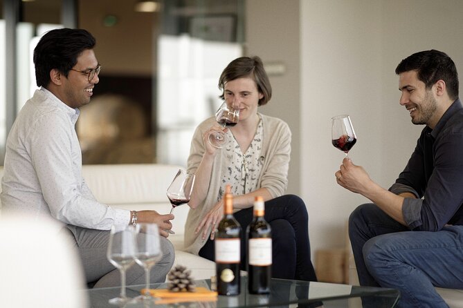 Bordeaux Private Full Day Wine Tour - Positive Feedback About Tour Guides and Experiences