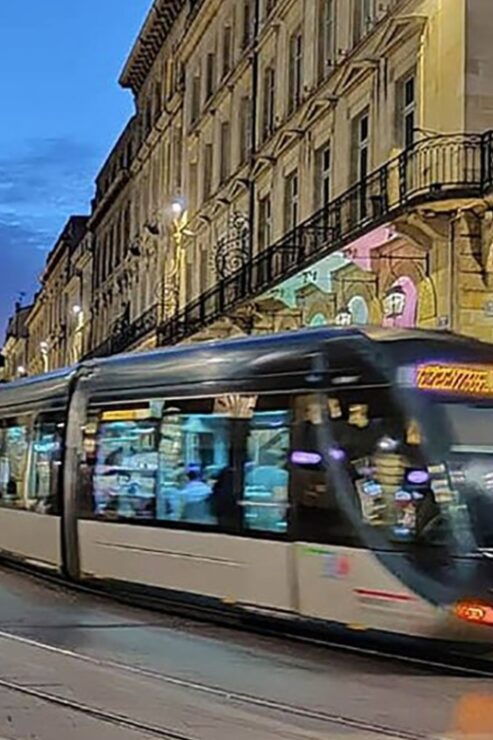Bordeaux: Private Guided Walking Tour & Cite Du Vin - Good To Know