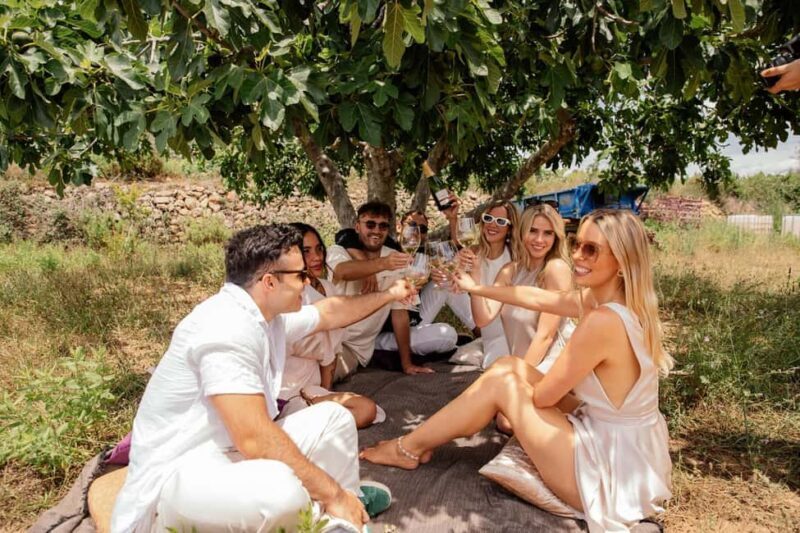 Bordeaux: Private Horseback Ride + Wine Tasting + Picnic - A Closer Look at the Experience