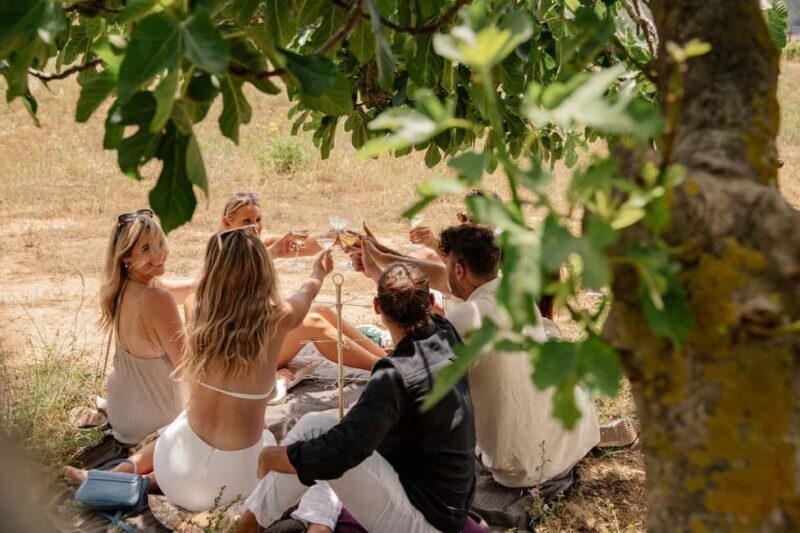 Bordeaux: Private Horseback Riding and Wine Tasting & Picnic - What Sets This Tour Apart?